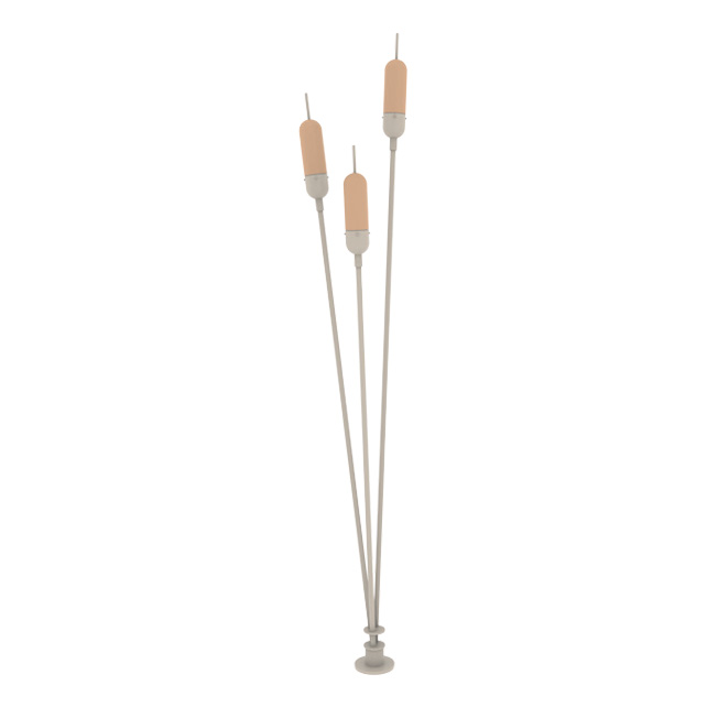 REED
